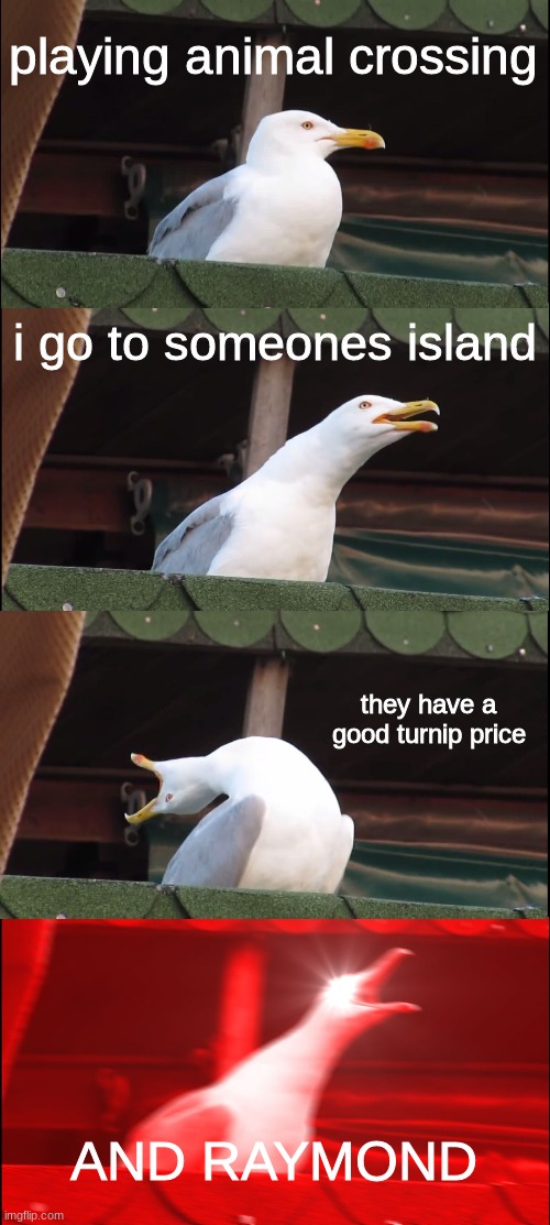 going to someone else´s island: |  playing animal crossing; i go to someones island; they have a good turnip price; AND RAYMOND | image tagged in memes,inhaling seagull,animal crossing | made w/ Imgflip meme maker