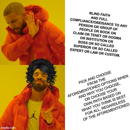 Drake Hotline Bling Meme | BLIND FAITH AND FULL COMPLIANCE/OBEISANCE TO ANY PERSON OR GROUP OF PEOPLE OR BOOK OR CLAIM OR TENET OR DOGMA OR INSTITUTION OR BOSS OR SO C | image tagged in memes,drake hotline bling | made w/ Imgflip meme maker
