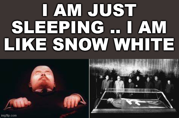 I AM JUST SLEEPING .. I AM LIKE SNOW WHITE | made w/ Imgflip meme maker