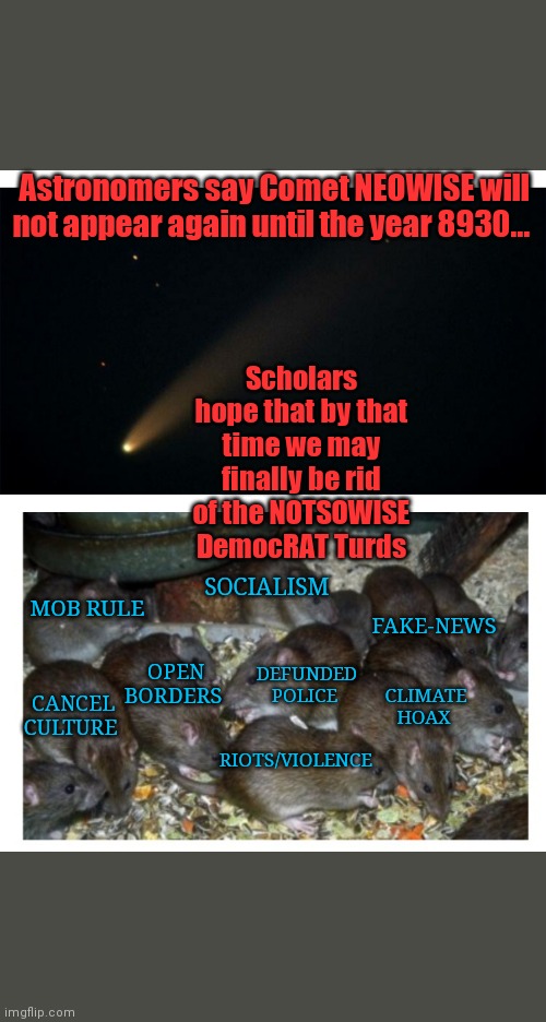 DemocRATS- VOTE THEM OUT | Astronomers say Comet NEOWISE will not appear again until the year 8930... Scholars hope that by that time we may finally be rid of the NOTSOWISE DemocRAT Turds; SOCIALISM; OPEN BORDERS; MOB RULE; FAKE-NEWS; DEFUNDED POLICE; CLIMATE HOAX; CANCEL CULTURE; RIOTS/VIOLENCE | image tagged in walking dead,occupy democrats,hillary clinton lying democrat liberal,butthurt liberals,fight club template,liberal logic | made w/ Imgflip meme maker