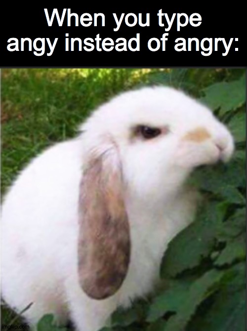 Angy | When you type angy instead of angry: | image tagged in misspelled | made w/ Imgflip meme maker