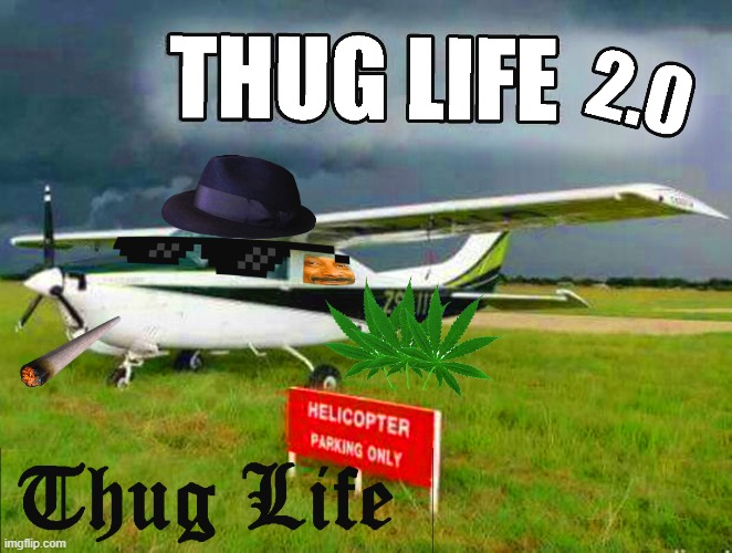 Thug life 2.0 | image tagged in aviation,memes,thug life | made w/ Imgflip meme maker