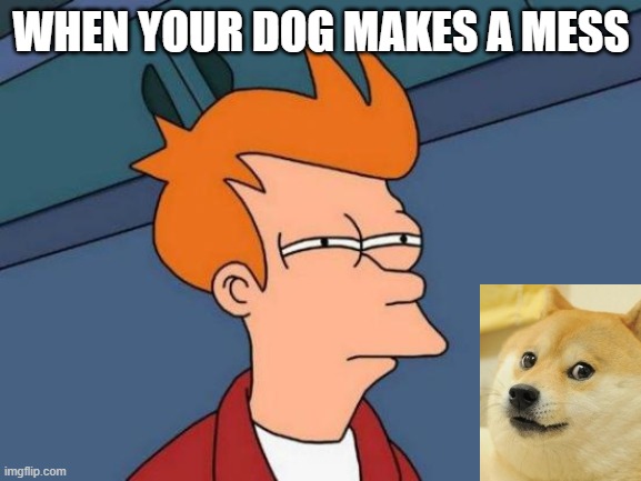 Futurama Fry Meme | WHEN YOUR DOG MAKES A MESS | image tagged in memes,futurama fry | made w/ Imgflip meme maker