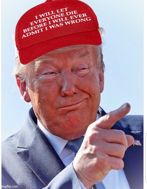 Trump pointing | image tagged in trump pointing | made w/ Imgflip meme maker