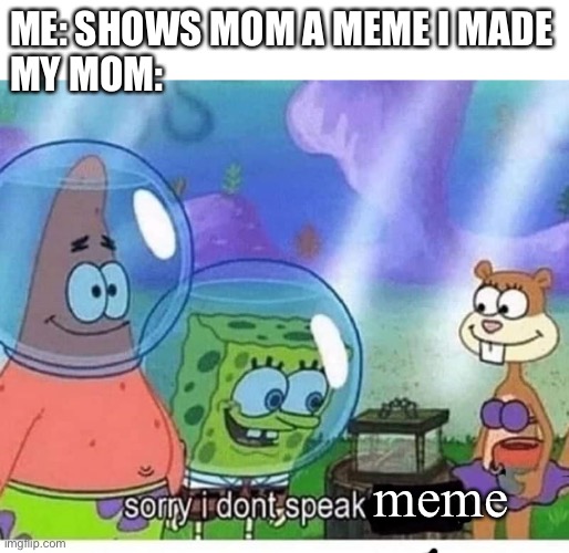 My mom cant understand memes | ME: SHOWS MOM A MEME I MADE
MY MOM:; meme | image tagged in sorry i dont speak wrong,mom,meme | made w/ Imgflip meme maker