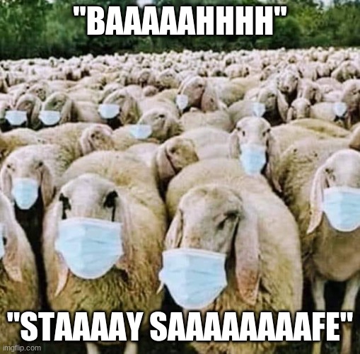 Stay Safe Sheep | "BAAAAAHHHH"; "STAAAAY SAAAAAAAAFE" | image tagged in stay safe,covid19,sheeple,masks,virus,trump | made w/ Imgflip meme maker