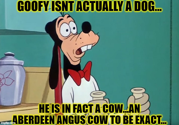 ONCE YOU KNOW..YOU CANT UNKNOW!!! | GOOFY ISNT ACTUALLY A DOG... HE IS IN FACT A COW...AN ABERDEEN ANGUS COW TO BE EXACT... | image tagged in confused goofy,visible confusion,goofy memes,funny,memes,disney killed star wars | made w/ Imgflip meme maker