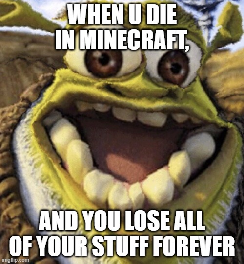 Shrek | WHEN U DIE IN MINECRAFT, AND YOU LOSE ALL OF YOUR STUFF FOREVER | image tagged in shrek | made w/ Imgflip meme maker