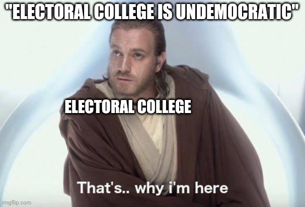 Thats why im here | "ELECTORAL COLLEGE IS UNDEMOCRATIC"; ELECTORAL COLLEGE | image tagged in thats why im here | made w/ Imgflip meme maker