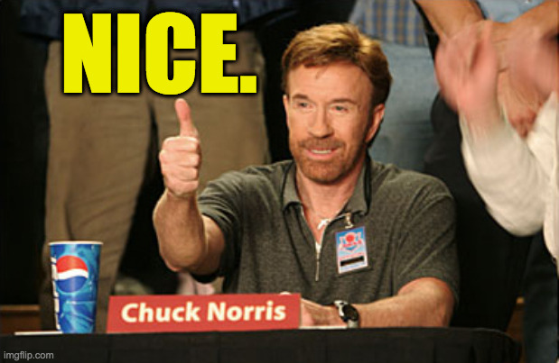 Chuck Norris Approves Meme | NICE. | image tagged in memes,chuck norris approves,chuck norris | made w/ Imgflip meme maker