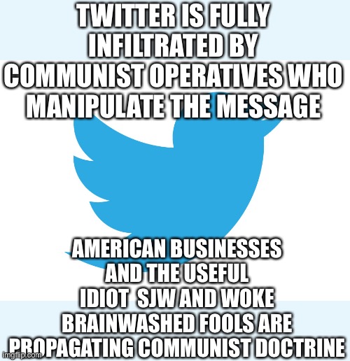 Twitter | TWITTER IS FULLY INFILTRATED BY COMMUNIST OPERATIVES WHO MANIPULATE THE MESSAGE; AMERICAN BUSINESSES AND THE USEFUL IDIOT  SJW AND WOKE BRAINWASHED FOOLS ARE PROPAGATING COMMUNIST DOCTRINE | image tagged in twitter,china,communist socialist,communism | made w/ Imgflip meme maker