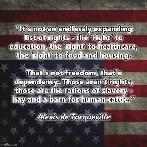 Be good sheep, now... | image tagged in antifa,blm,democrats,trump 2020,alexis de tocqueville | made w/ Imgflip meme maker