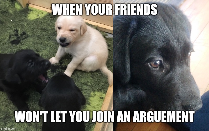 Dogs fighting | WHEN YOUR FRIENDS; WON'T LET YOU JOIN AN ARGUEMENT | image tagged in dogs fighting | made w/ Imgflip meme maker