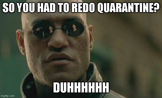 Pure genius I tell you! | SO YOU HAD TO REDO QUARANTINE? DUHHHHHH | image tagged in memes,matrix morpheus | made w/ Imgflip meme maker