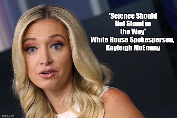 White House Spokesperson, Kayleigh McEnany: "Science Should Not Stand In The Way" | 'Science Should Not Stand in the Way'
White House Spokesperson, 
Kayleigh McEnany | image tagged in whitehouse spokesperson,kayleigh mcenany,science denial,the trump administration is evil | made w/ Imgflip meme maker