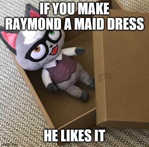 he likes it | IF YOU MAKE RAYMOND A MAID DRESS; HE LIKES IT | image tagged in dick in a box,maid | made w/ Imgflip meme maker