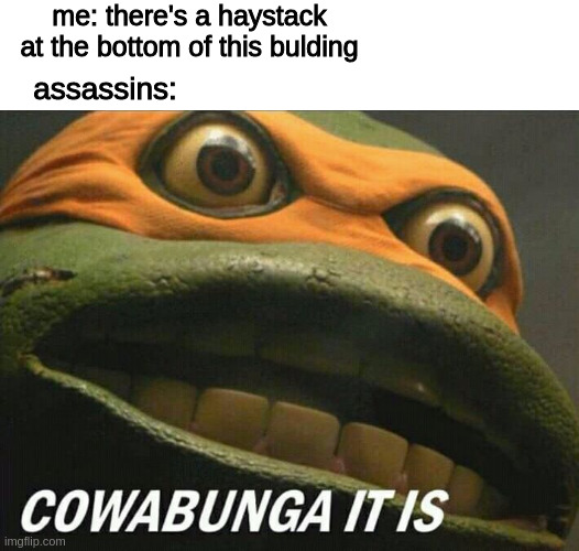 Cowabunga it is | me: there's a haystack at the bottom of this bulding; assassins: | image tagged in cowabunga it is,assassins creed | made w/ Imgflip meme maker