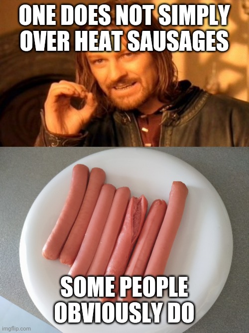 ONE DOES NOT SIMPLY OVER HEAT SAUSAGES; SOME PEOPLE OBVIOUSLY DO | image tagged in memes,one does not simply | made w/ Imgflip meme maker