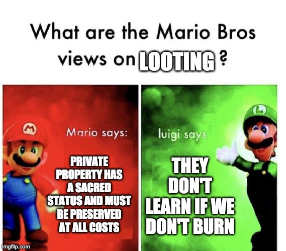 Mario Bros Views | LOOTING; PRIVATE PROPERTY HAS A SACRED STATUS AND MUST BE PRESERVED AT ALL COSTS; THEY DON'T LEARN IF WE DON'T BURN | image tagged in mario bros views,looting,blm,capitalism,luigi,burn baby burn | made w/ Imgflip meme maker