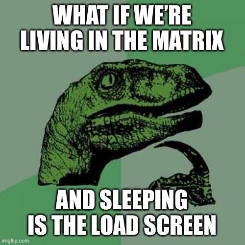 Some need faster hardware | WHAT IF WE’RE LIVING IN THE MATRIX; AND SLEEPING IS THE LOAD SCREEN | image tagged in memes,philosoraptor | made w/ Imgflip meme maker