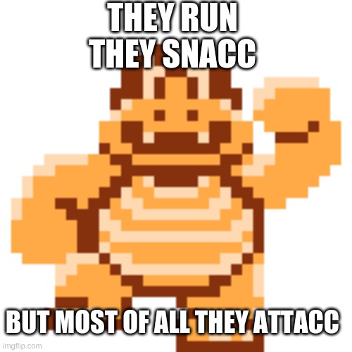 THEY RUN
THEY SNACC; BUT MOST OF ALL THEY ATTACC | image tagged in lol so funny | made w/ Imgflip meme maker