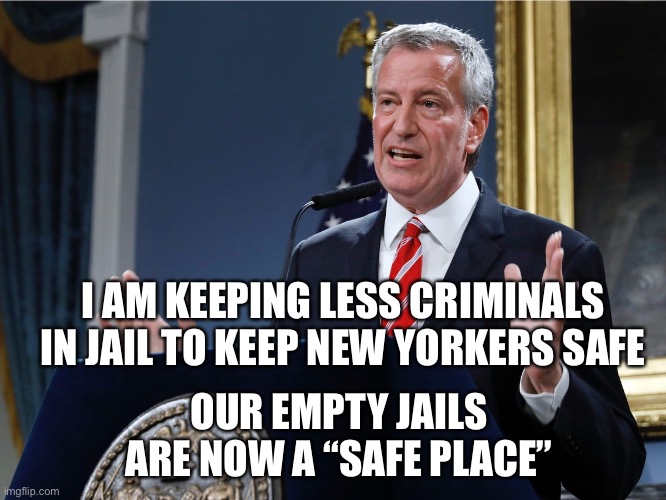 With all the criminals roaming NYC, you just might be safer in jail. | I AM KEEPING LESS CRIMINALS IN JAIL TO KEEP NEW YORKERS SAFE; OUR EMPTY JAILS ARE NOW A “SAFE PLACE” | image tagged in mayor bill de blasio explains himself,empty jails,crime up,nyc | made w/ Imgflip meme maker
