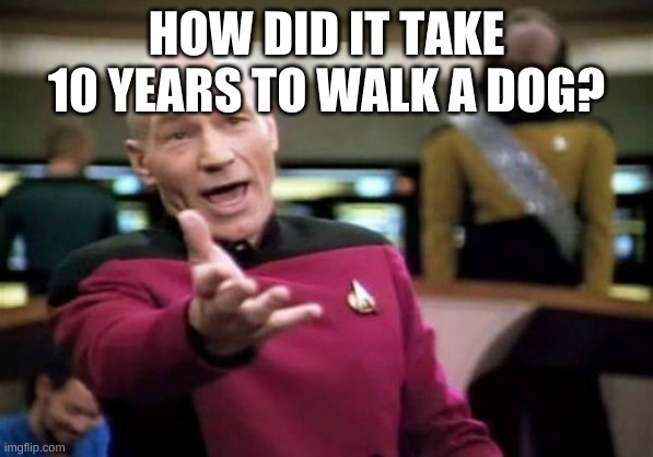 Picard Wtf Meme | HOW DID IT TAKE 10 YEARS TO WALK A DOG? | image tagged in memes,picard wtf | made w/ Imgflip meme maker
