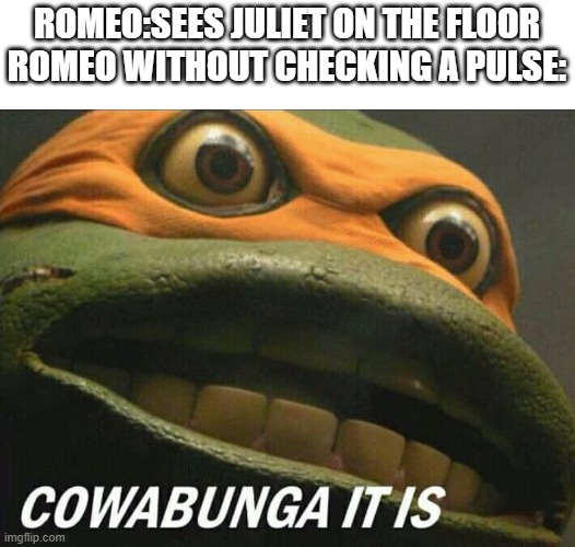 Cowabunga it is | ROMEO:SEES JULIET ON THE FLOOR
ROMEO WITHOUT CHECKING A PULSE: | image tagged in cowabunga it is | made w/ Imgflip meme maker