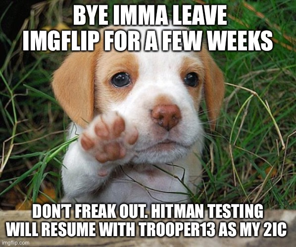 dog puppy bye | BYE IMMA LEAVE IMGFLIP FOR A FEW WEEKS; DON’T FREAK OUT. HITMAN TESTING WILL RESUME WITH TROOPER13 AS MY 2IC | image tagged in dog puppy bye | made w/ Imgflip meme maker