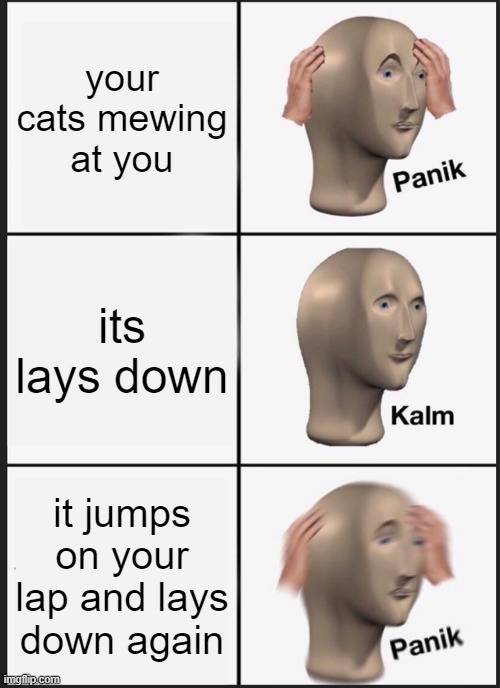 Panik Kalm Panik | your cats mewing at you; its lays down; it jumps on your lap and lays down again | image tagged in memes,panik kalm panik | made w/ Imgflip meme maker
