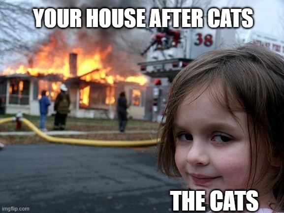 THE CATS | YOUR HOUSE AFTER CATS; THE CATS | image tagged in memes,disaster girl | made w/ Imgflip meme maker