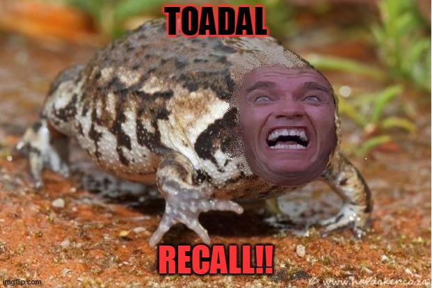 Toadal Recall! | TOADAL; RECALL!! | image tagged in grumpy toad,arnold schwarzenegger | made w/ Imgflip meme maker