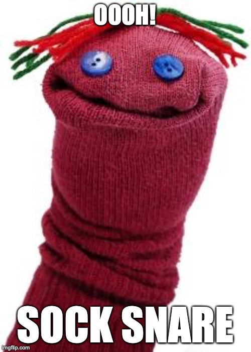 sock puppet | OOOH! SOCK SNARE | image tagged in sock puppet | made w/ Imgflip meme maker