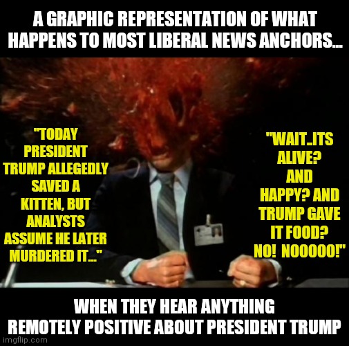 Why you must never tell a liberal the truth.....lives depend on this!!! | A GRAPHIC REPRESENTATION OF WHAT HAPPENS TO MOST LIBERAL NEWS ANCHORS... "TODAY PRESIDENT TRUMP ALLEGEDLY SAVED A KITTEN, BUT ANALYSTS ASSUME HE LATER MURDERED IT..."; "WAIT..ITS ALIVE? AND HAPPY? AND TRUMP GAVE IT FOOD? NO!  NOOOOO!"; WHEN THEY HEAR ANYTHING REMOTELY POSITIVE ABOUT PRESIDENT TRUMP | image tagged in head explode,liberals,biased media,donald trump | made w/ Imgflip meme maker