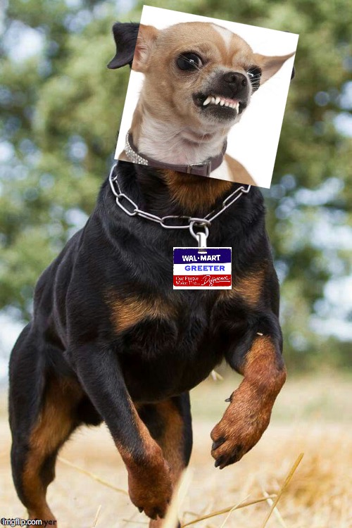 Greeter | GREETER | image tagged in rottweiler dog | made w/ Imgflip meme maker