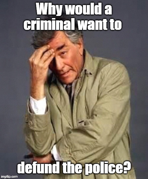 Columbo | Why would a criminal want to; defund the police? | image tagged in columbo | made w/ Imgflip meme maker