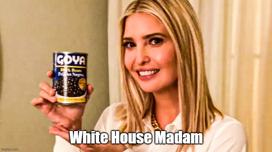  White House Madam | made w/ Imgflip meme maker