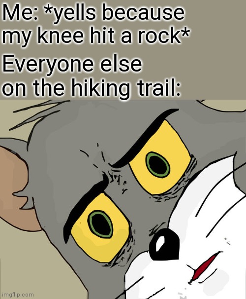 Avalanche! | Me: *yells because my knee hit a rock*; Everyone else on the hiking trail: | image tagged in memes,unsettled tom | made w/ Imgflip meme maker