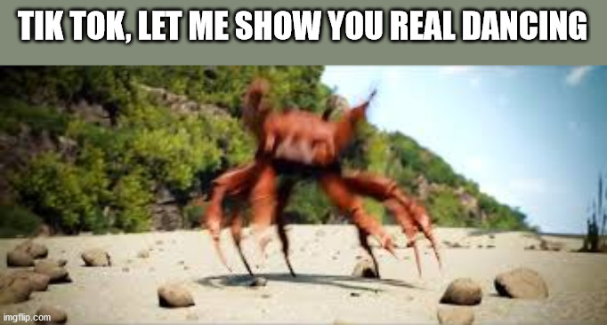 crab rave | TIK TOK, LET ME SHOW YOU REAL DANCING | image tagged in crab rave | made w/ Imgflip meme maker