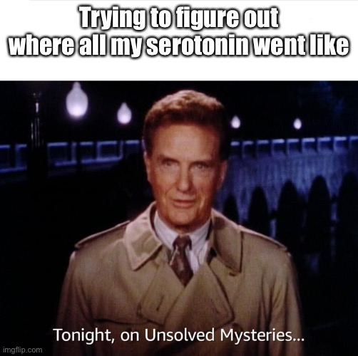 Brain Damage | Trying to figure out where all my serotonin went like | image tagged in unsolved mysteries,serotonin,the big sad,memes | made w/ Imgflip meme maker