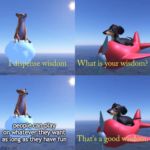 Wisdom dog | people can play on whatever they want as long as they have fun | image tagged in wisdom dog | made w/ Imgflip meme maker