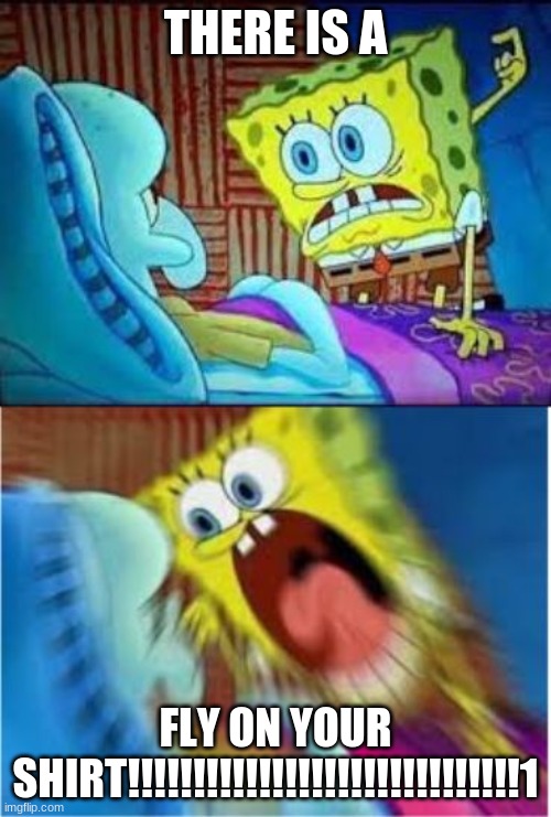 Screaming SpongeBob | THERE IS A; FLY ON YOUR SHIRT!!!!!!!!!!!!!!!!!!!!!!!!!!!!!!1 | image tagged in screaming spongebob | made w/ Imgflip meme maker