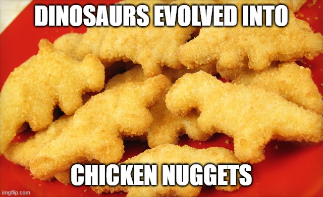 Dinosaur chicken nuggets  | DINOSAURS EVOLVED INTO; CHICKEN NUGGETS | image tagged in dinosaur chicken nuggets | made w/ Imgflip meme maker