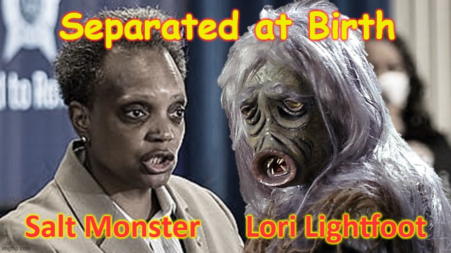 Salt Monster & Lori Lightfoot | Separated at Birth; Salt Monster      Lori Lightfoot | image tagged in funny,separated at birth,star trek,triggered liberal,incompetence,chicago | made w/ Imgflip meme maker