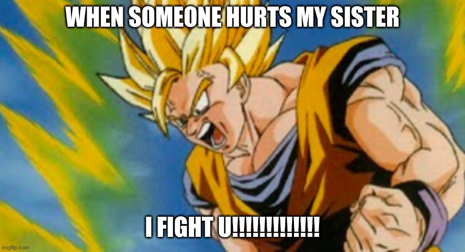 Dragon ball z | WHEN SOMEONE HURTS MY SISTER; I FIGHT U!!!!!!!!!!!!! | image tagged in dragon ball z | made w/ Imgflip meme maker