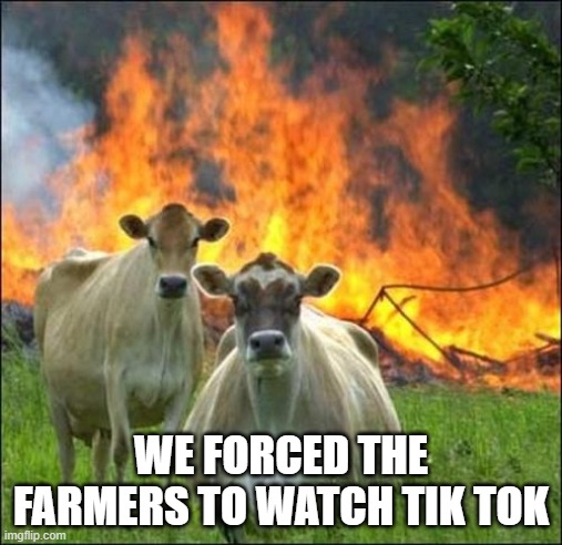 Evil Cows Meme | WE FORCED THE FARMERS TO WATCH TIK TOK | image tagged in memes,evil cows,funny | made w/ Imgflip meme maker