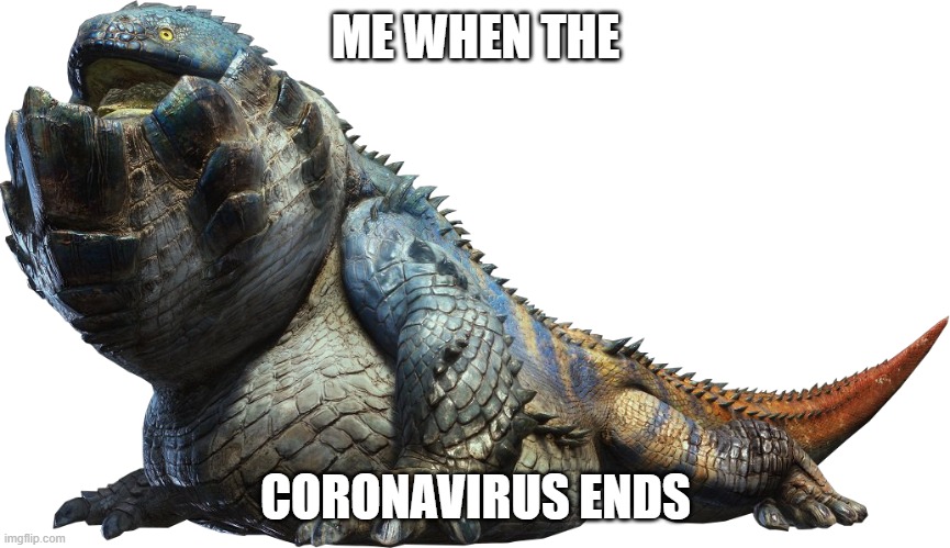 After the Virus | ME WHEN THE; CORONAVIRUS ENDS | image tagged in funny,coronavirus,real life,hahahaha | made w/ Imgflip meme maker