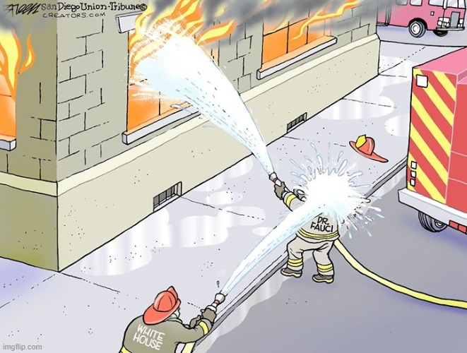 "If there’s a fire you’re trying to douse / You can’t put it out from inside the house"... or if you do this! | image tagged in covid-19,coronavirus,repost,cartoon,firefighter,firefighters | made w/ Imgflip meme maker