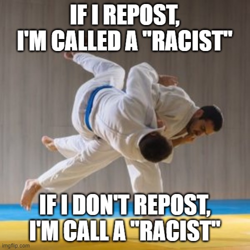 Corporat judo | IF I REPOST, I'M CALLED A "RACIST" IF I DON'T REPOST, I'M CALL A "RACIST" | image tagged in corporat judo | made w/ Imgflip meme maker