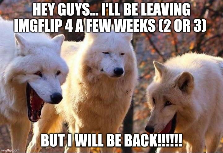 Laughing wolf | HEY GUYS... I'LL BE LEAVING IMGFLIP 4 A FEW WEEKS (2 OR 3); BUT I WILL BE BACK!!!!!! | image tagged in laughing wolf | made w/ Imgflip meme maker